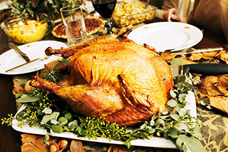 thanksgiving-turkey photo